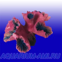 Коралл искусственный Кауластрея №716